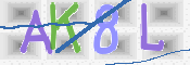 CAPTCHA 驗證圖片
