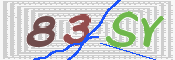 CAPTCHA 驗證圖片