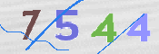 CAPTCHA 驗證圖片