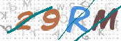 CAPTCHA 驗證圖片