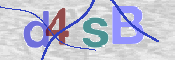 CAPTCHA 驗證圖片