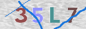 CAPTCHA 驗證圖片