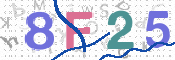 CAPTCHA 驗證圖片