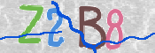 CAPTCHA 驗證圖片