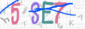 CAPTCHA 驗證圖片