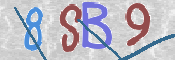 CAPTCHA 驗證圖片