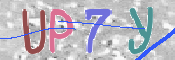 CAPTCHA 驗證圖片