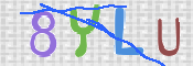 CAPTCHA 驗證圖片
