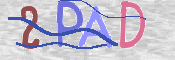 CAPTCHA 驗證圖片