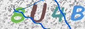 CAPTCHA 驗證圖片