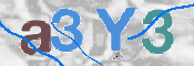 CAPTCHA 驗證圖片