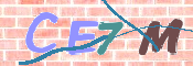 CAPTCHA 驗證圖片