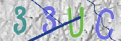 CAPTCHA 驗證圖片