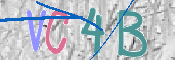 CAPTCHA 驗證圖片