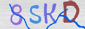 CAPTCHA 驗證圖片