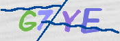 CAPTCHA 驗證圖片