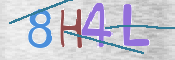 CAPTCHA 驗證圖片