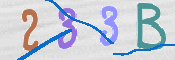 CAPTCHA 驗證圖片