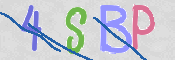 CAPTCHA 驗證圖片