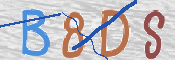 CAPTCHA 驗證圖片