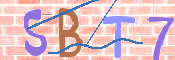 CAPTCHA 驗證圖片