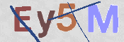 CAPTCHA 驗證圖片