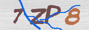 CAPTCHA 驗證圖片
