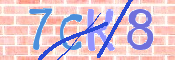 CAPTCHA 驗證圖片