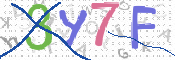 CAPTCHA 驗證圖片