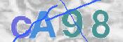CAPTCHA 驗證圖片