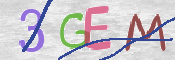 CAPTCHA 驗證圖片