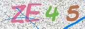 CAPTCHA 驗證圖片