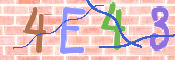 CAPTCHA 驗證圖片